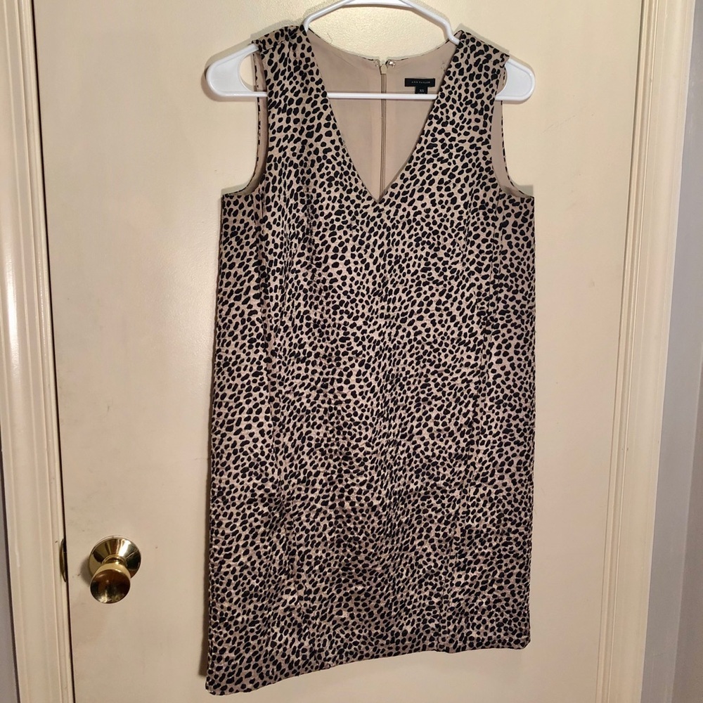 ANN TAYLOR Leopard Print Sleeveless Mini Dress XS